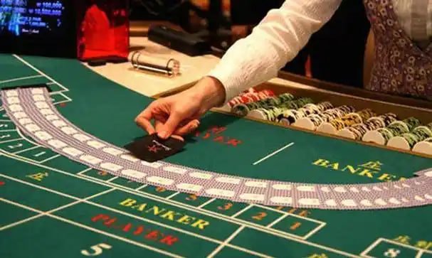Pengalaman taruhan sportsbook dan slot online 55five